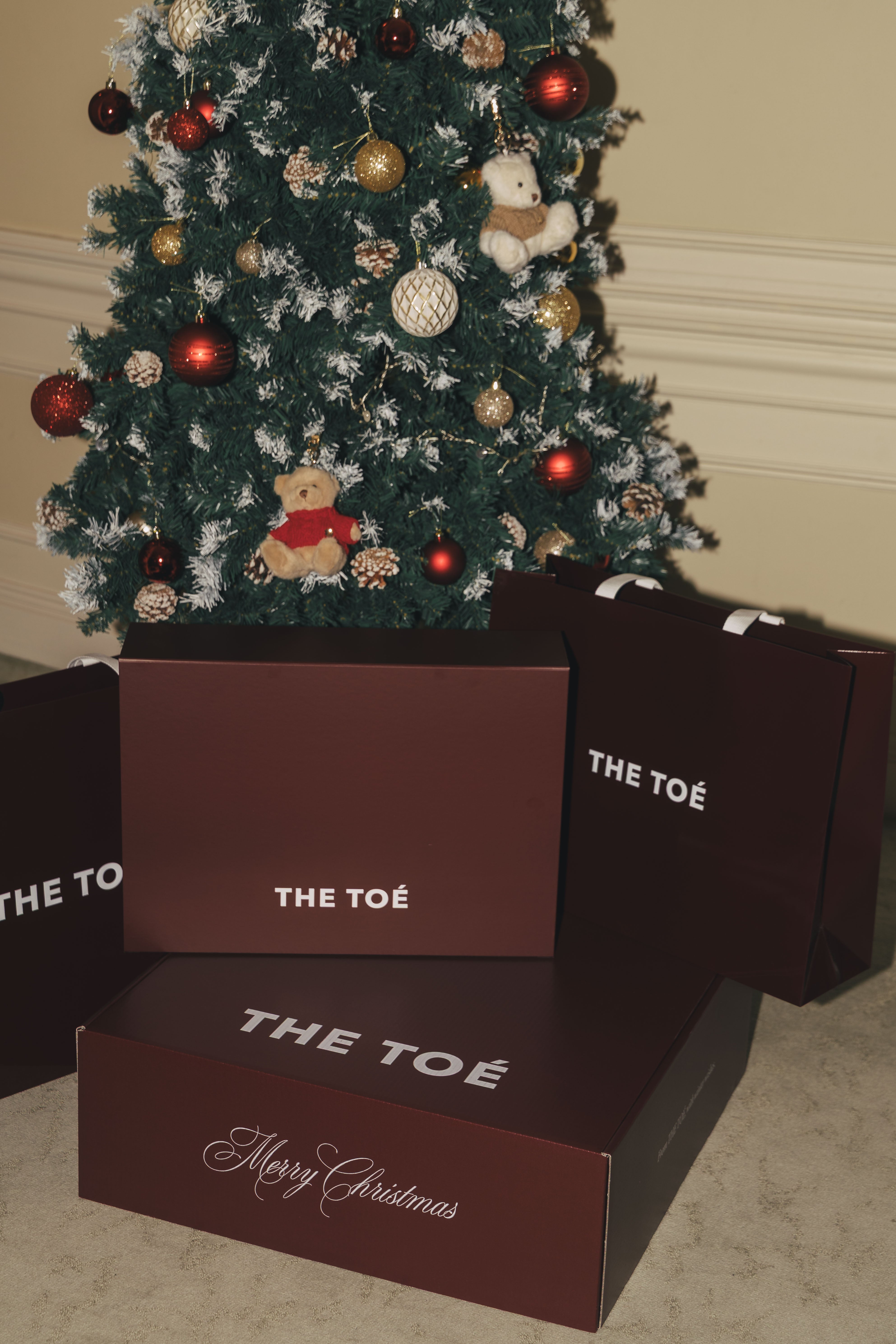 2025 Christmas box