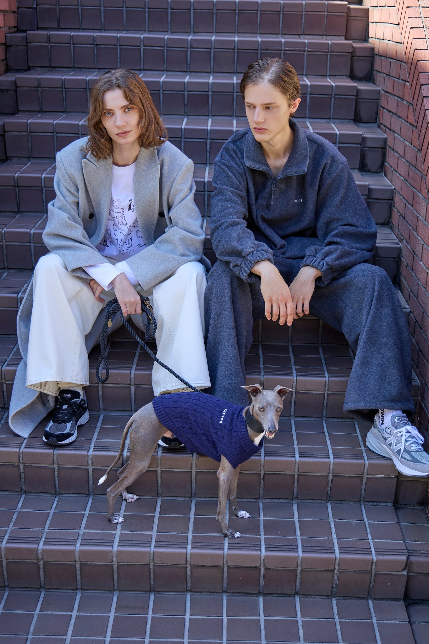 TOÉ Daily Dog Knit – THE TOÉ