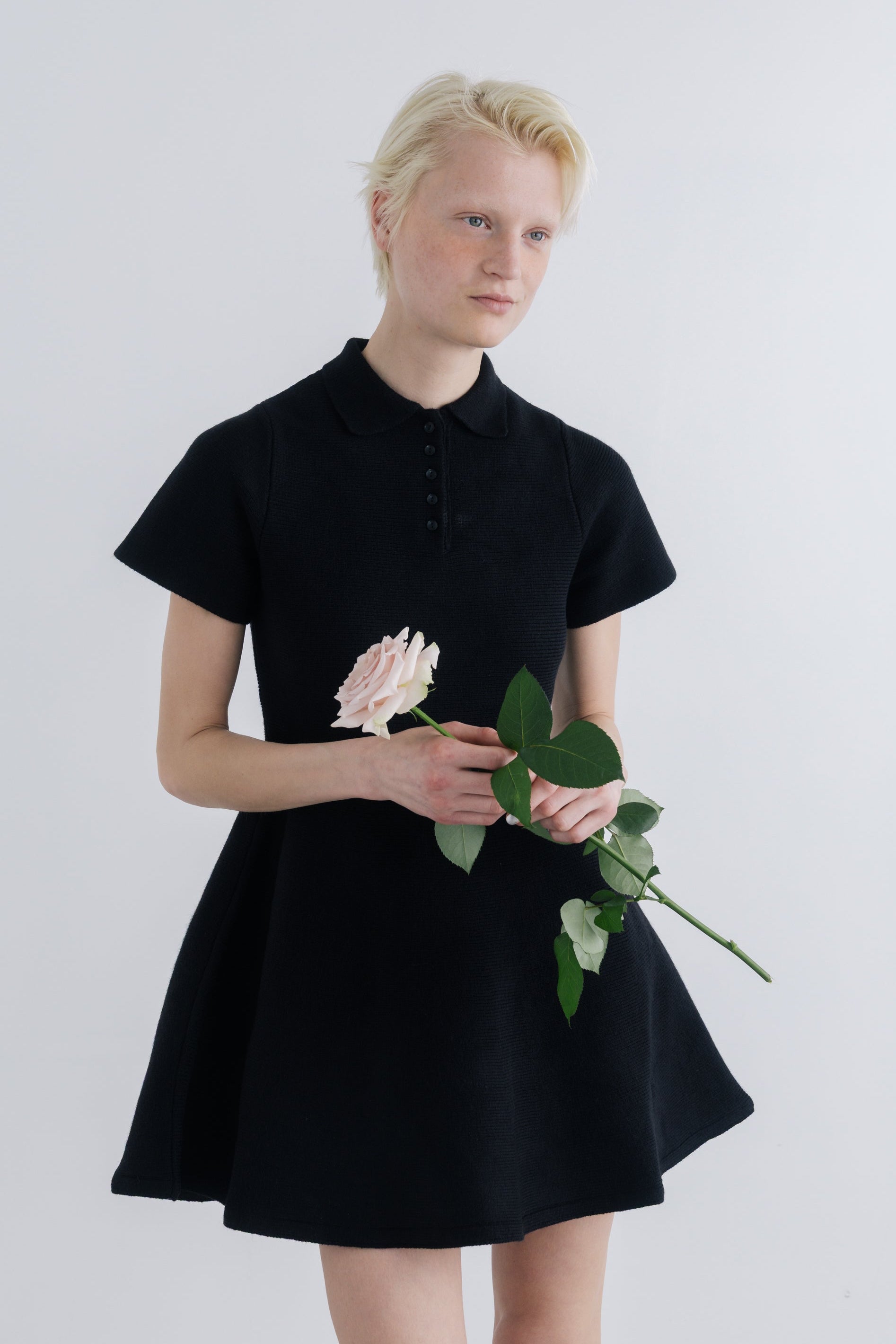 Reims Short Sleeve Flare Onepiece – THE TOÉ
