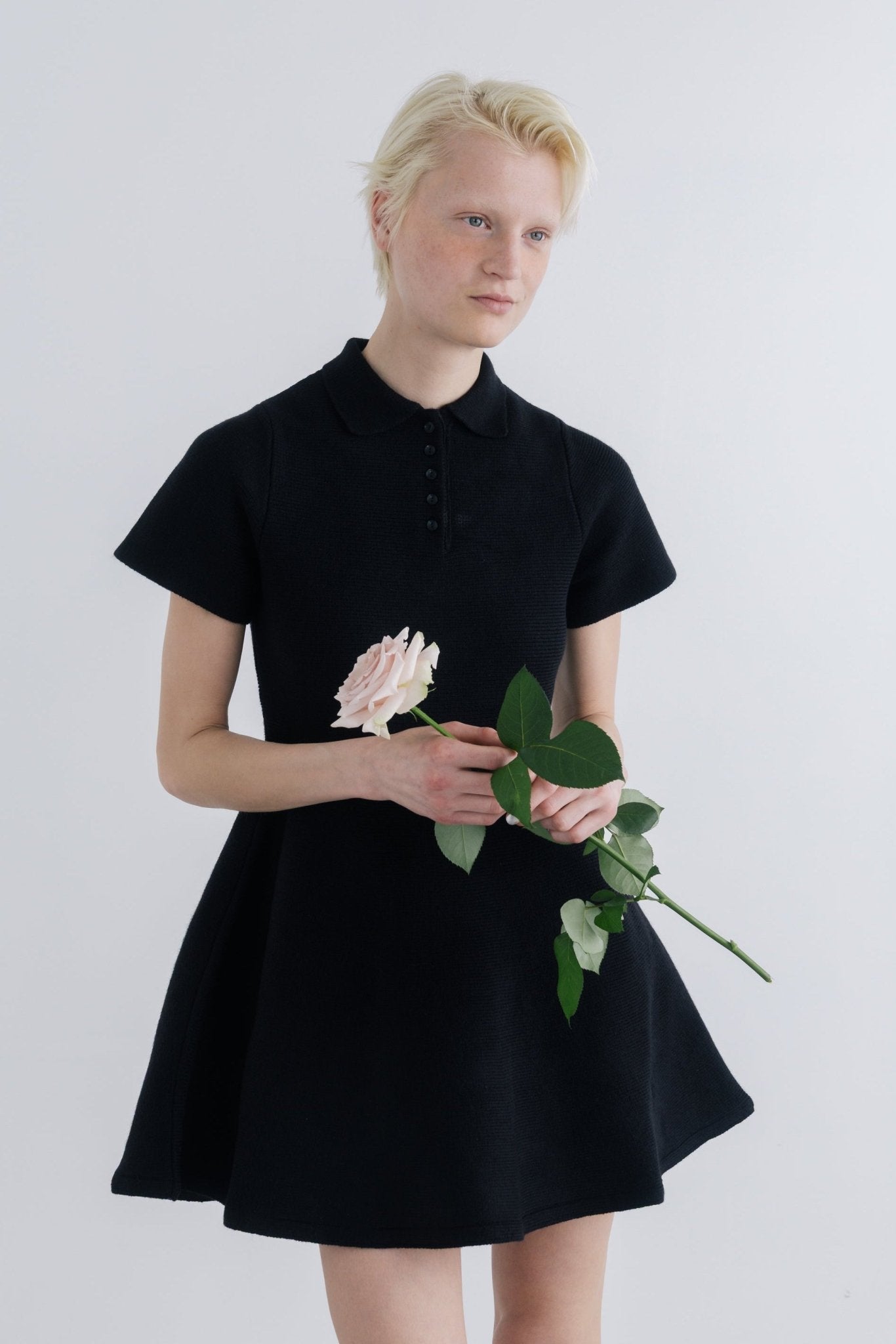 Reims Short Sleeve Flare Onepiece