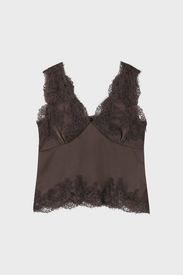 Sneek Lace Top
