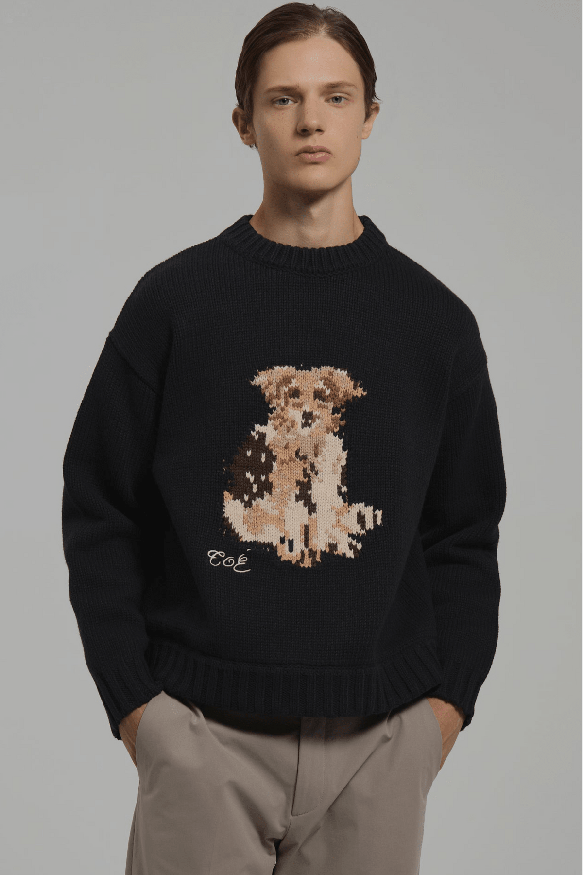 Schloss Dog Knit – THE TOÉ Schloss Dog Knit – THE TOÉ