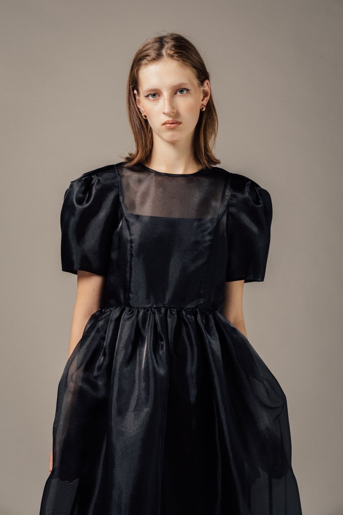 Minerva Sheer Dress