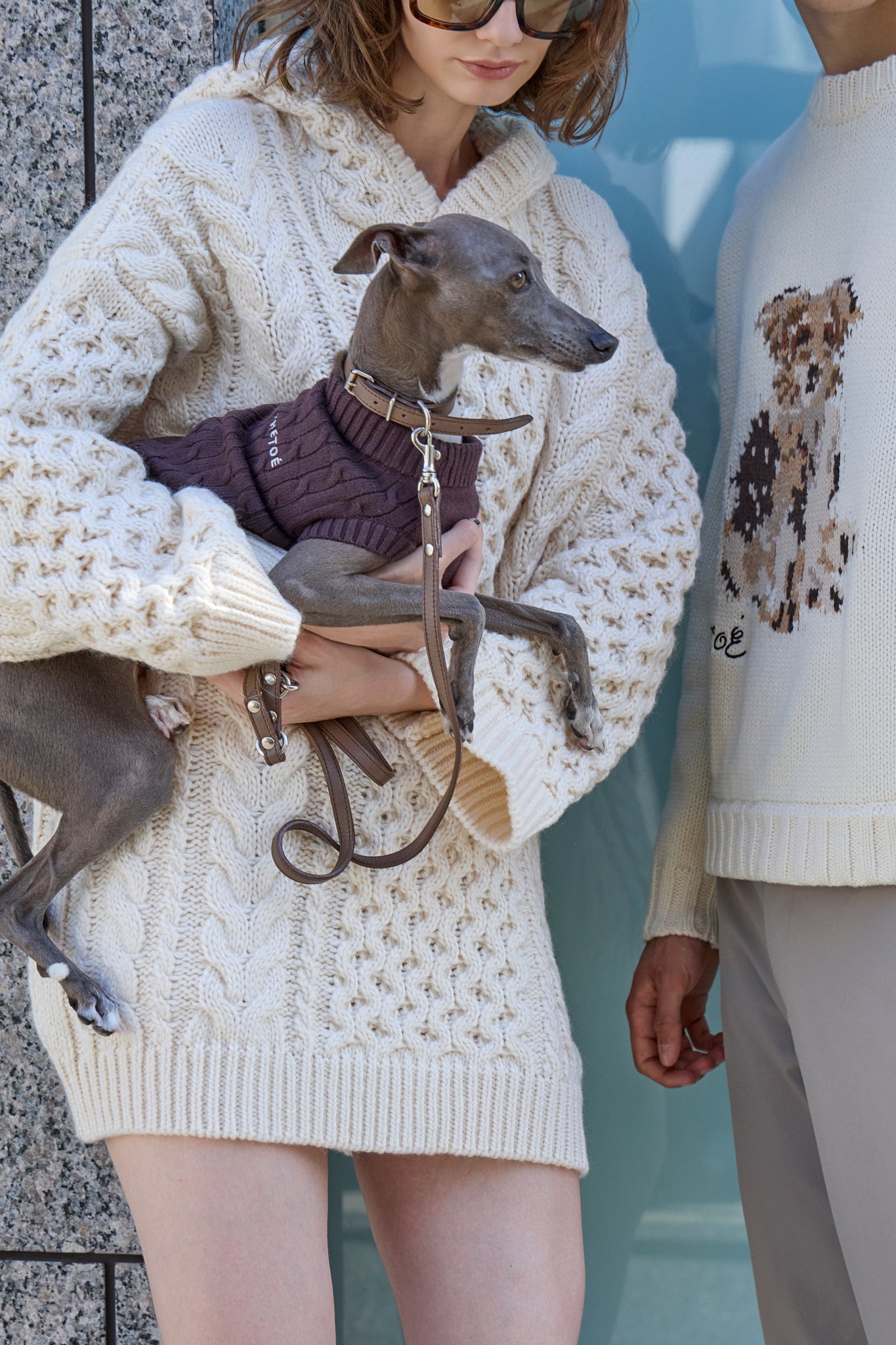 TOÉ Daily Dog Knit – THE TOÉ