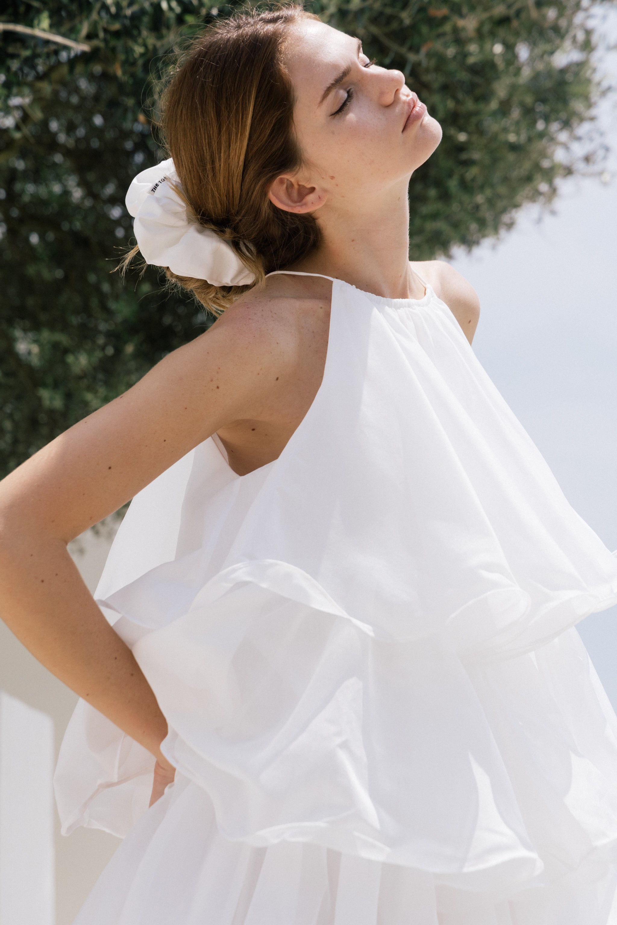Hesiod Frills Dress – THE TOÉ