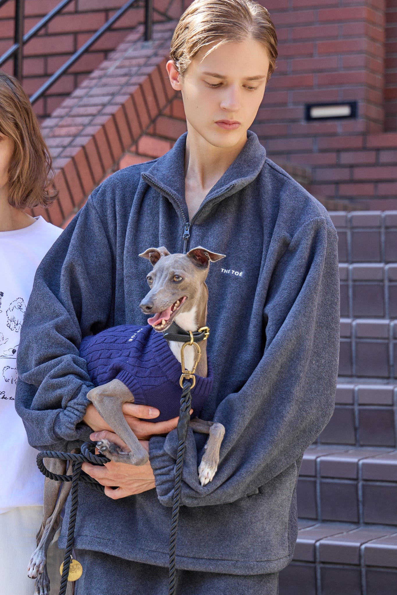 the toe 犬　ニット　セーター TOÉ Daily Dog Knit – THE TOÉ