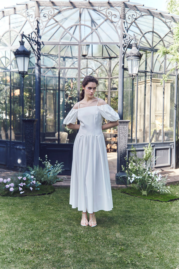 Sarphati Dress