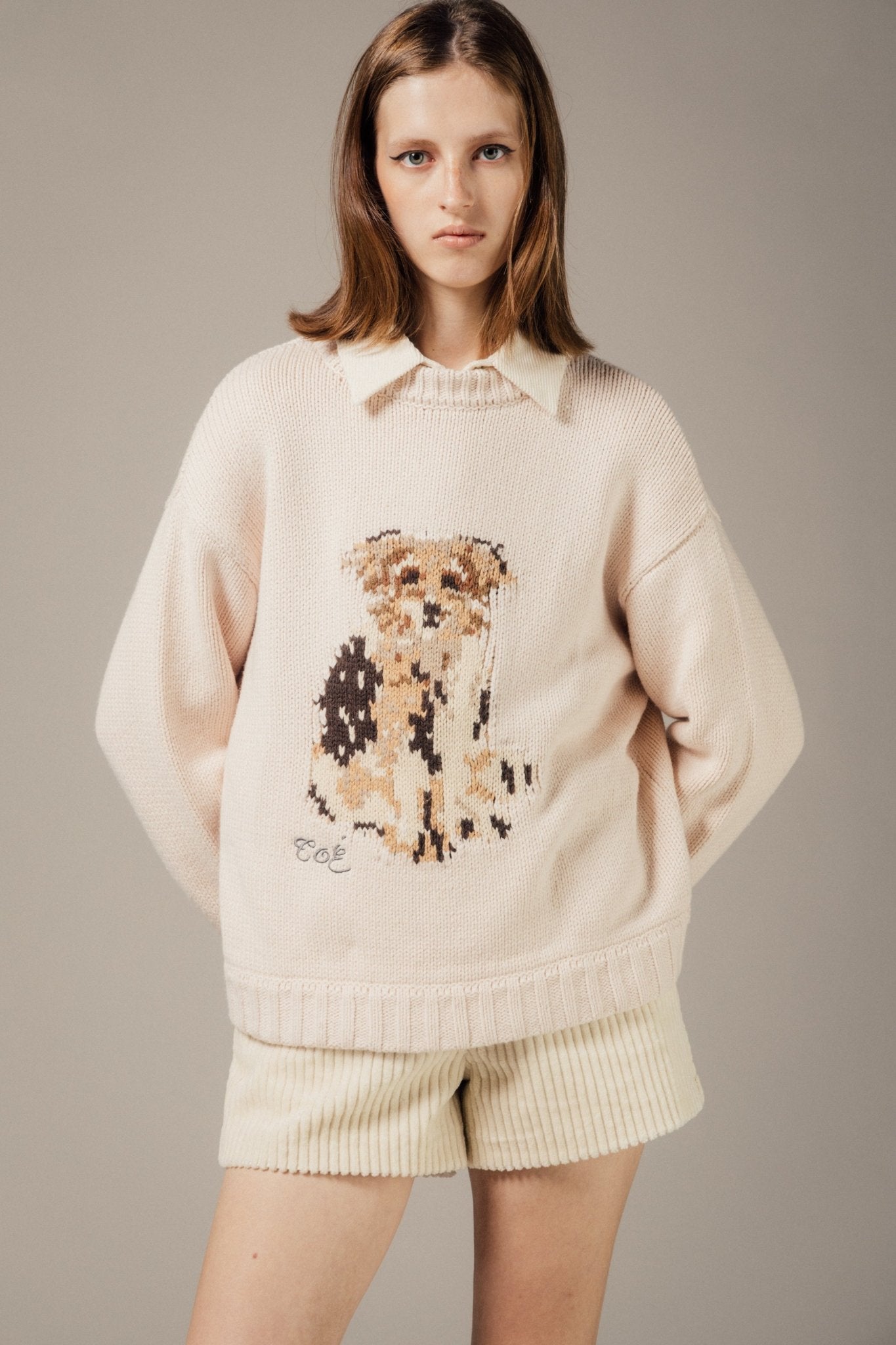 Schloss Dog Knit – THE TOÉ