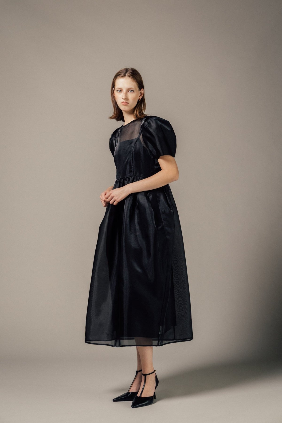 Minerva Sheer Dress