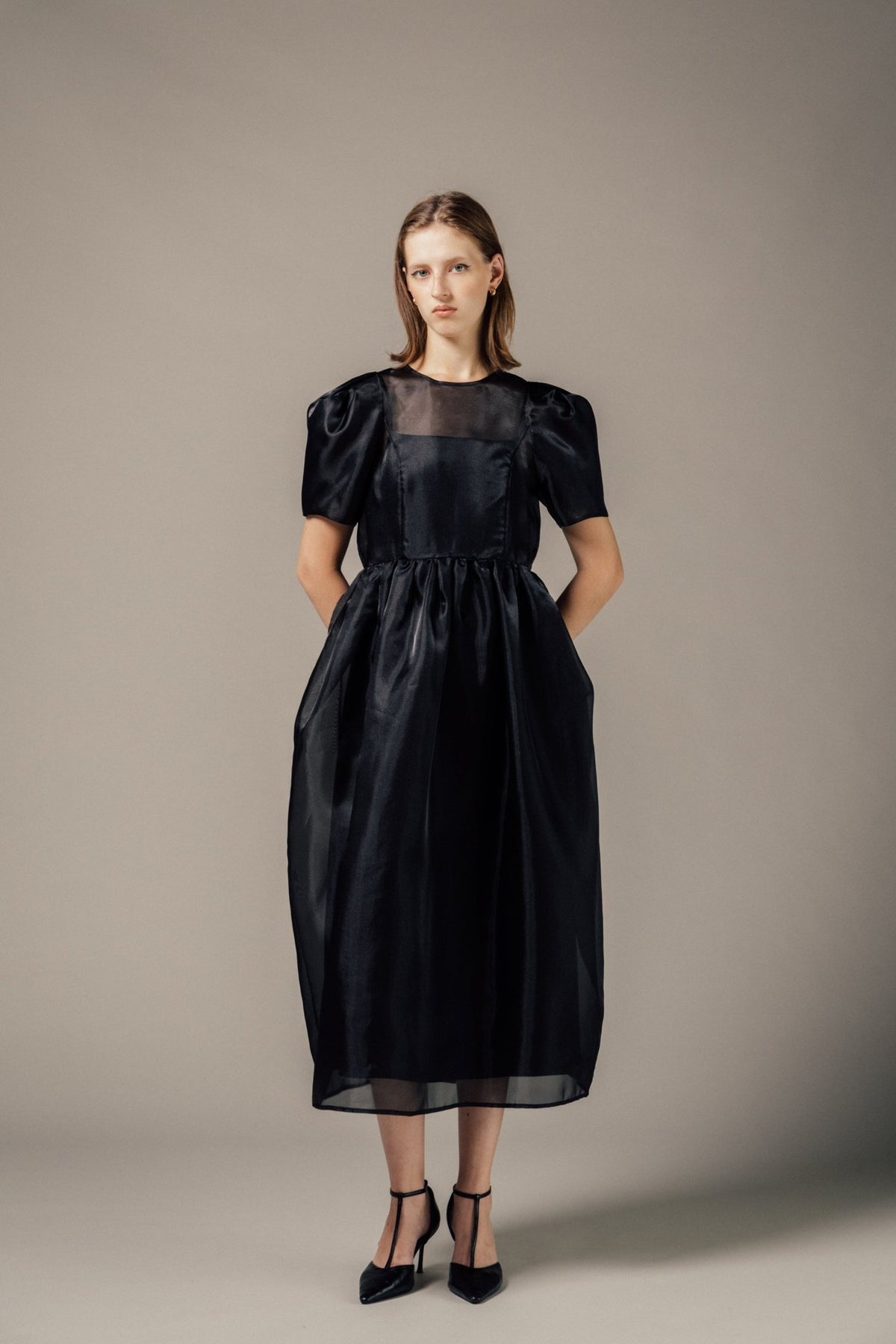 Minerva Sheer Dress