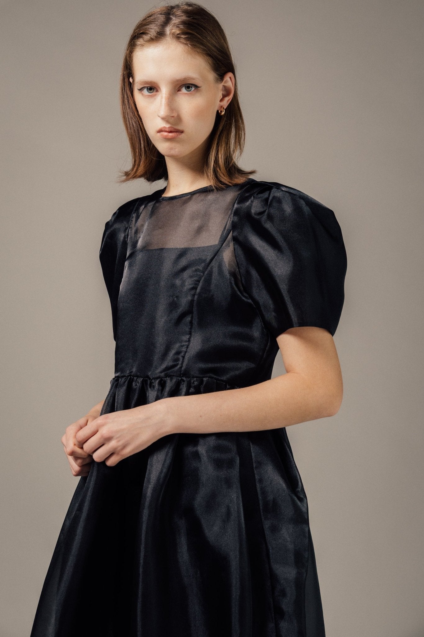 Minerva Sheer Dress – THE TOÉ