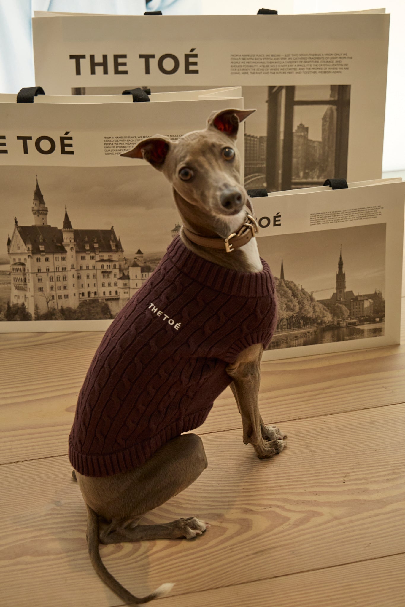 THETOE Schloss Dog Knit Sサイズ 犬 【公式通販】