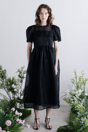 Minerva Sheer Dress