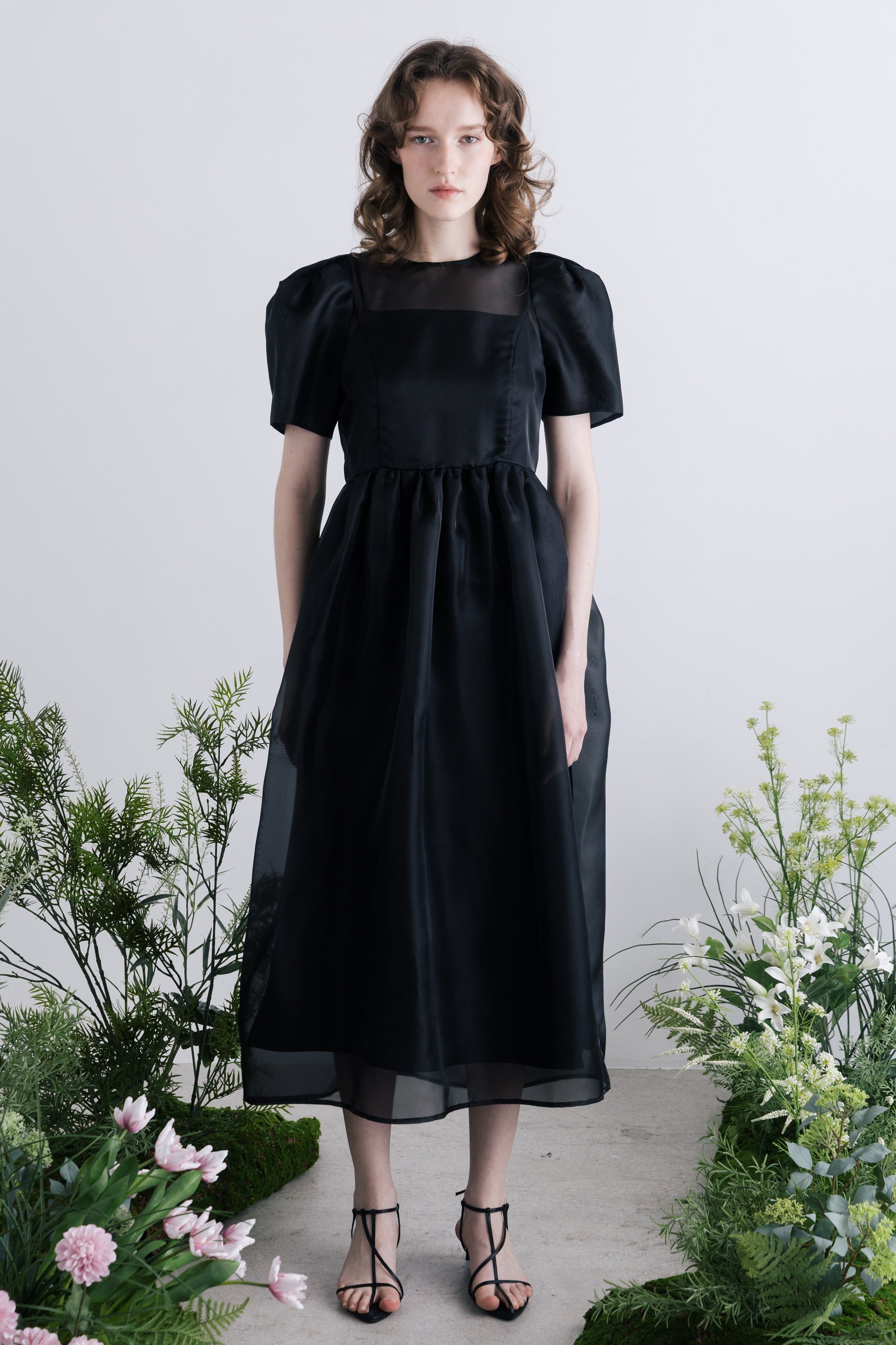 Minerva Sheer Dress