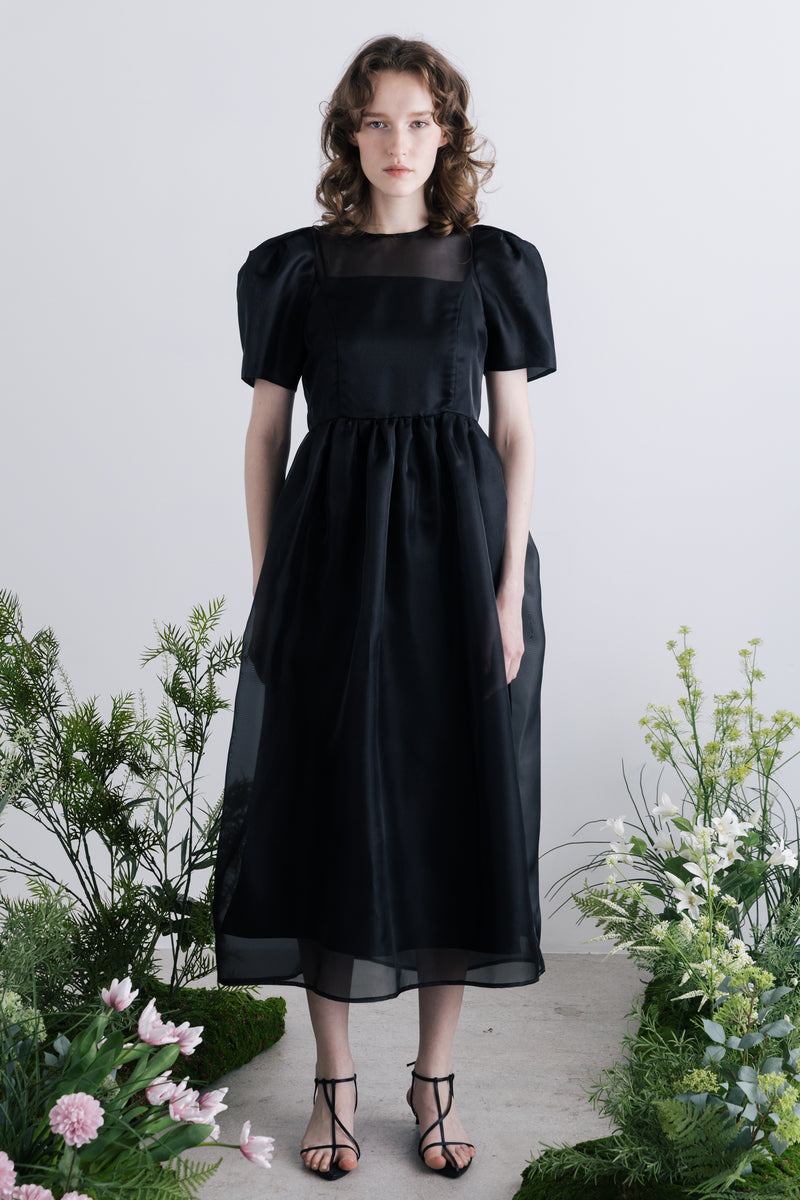 Minerva Sheer Dress