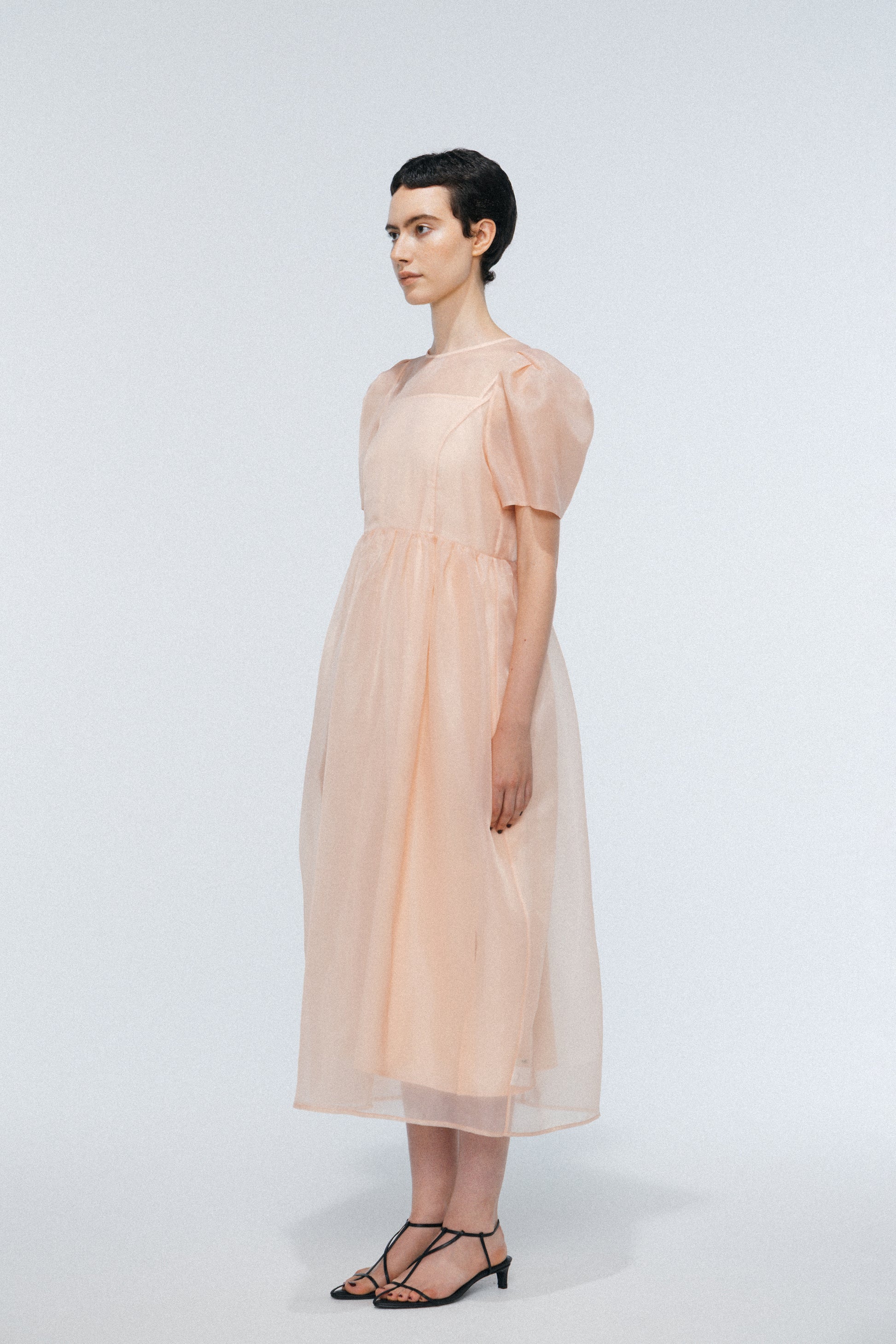 Minerva Sheer Dress