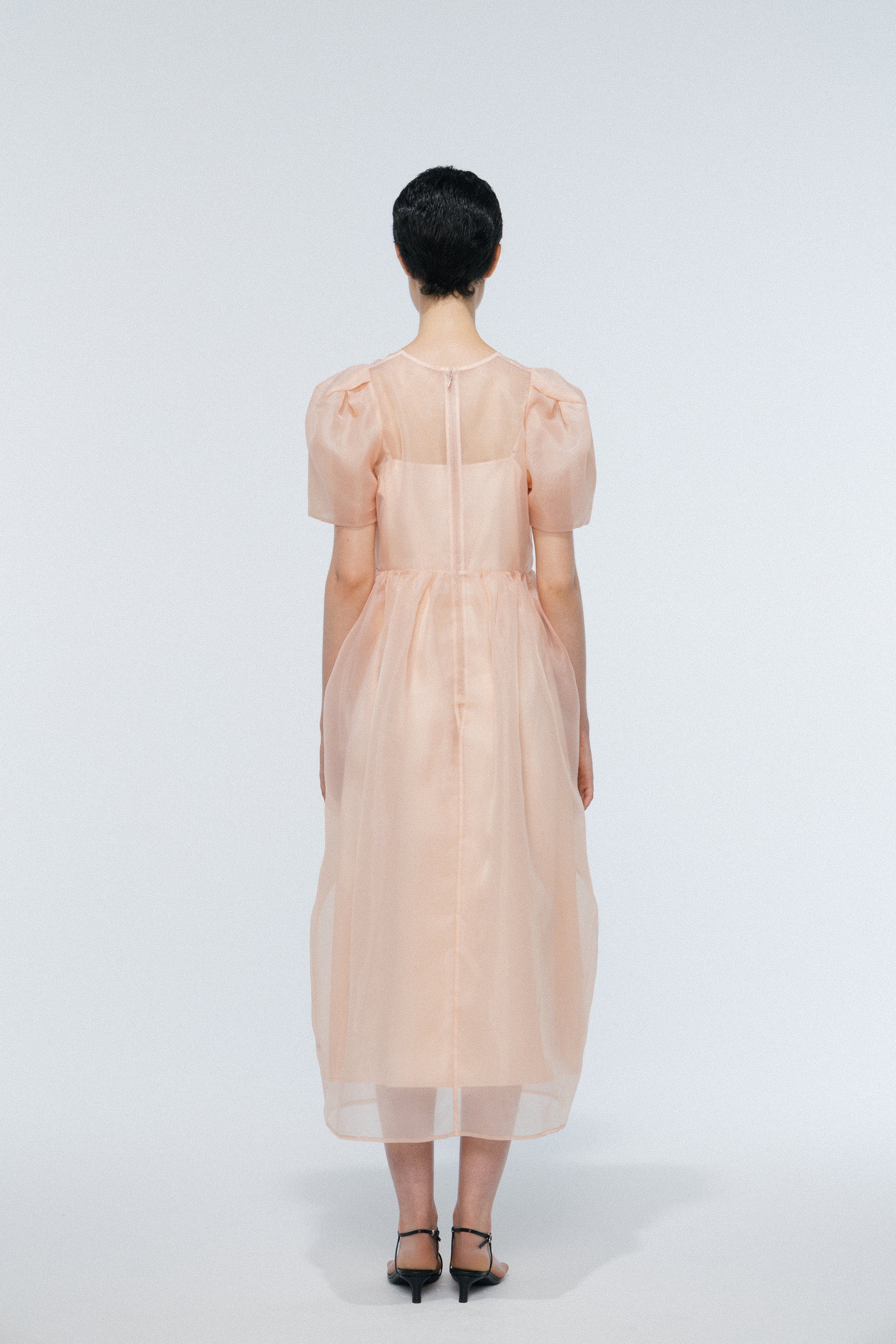 Minerva Sheer Dress