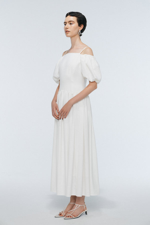 Sarphati Dress