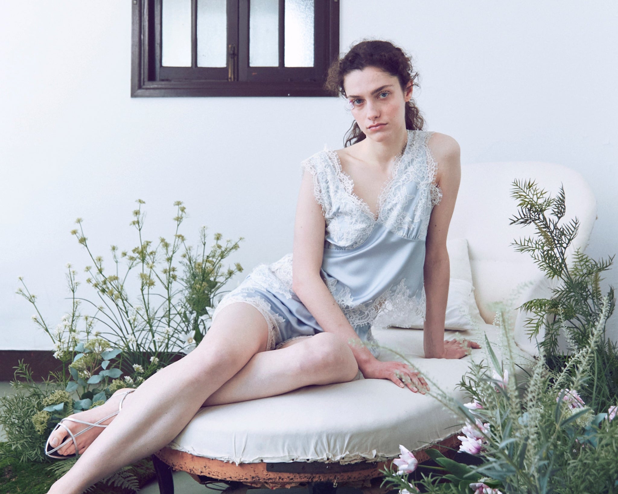 Sneek Lace Short Pants